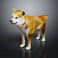 Cute Brown and White Shiba Inu Standing on Dark Background with Reflection