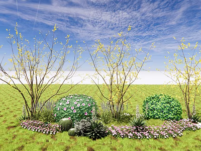 Flowering Trees with Yellow Blossoms Green Shrubs Purple Pink Flowers and Lawn Under Blue Sky 3d model