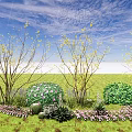Flowering Trees with Yellow Blossoms Green Shrubs Purple Pink Flowers and Lawn Under Blue Sky