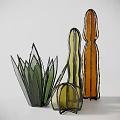 Glass Cactus Shaped Potted Plants With Green Orange Transparent Colors Various Shapes On White Background