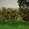 Decorative Garden Wall With Wooden Fence Covered In Yellow Flowers And Green Plants