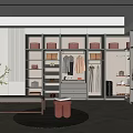 Modern Elegant Walk-in Closet Design With Cabinets Hanging Area Drawers Shoes Bags Bench And Plant