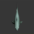 Turquoise 3D Shark Model With Smooth Surface On Black Reflective Base