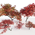 Beautiful Trees With Red And Green Leaves In Various Sizes 3d model