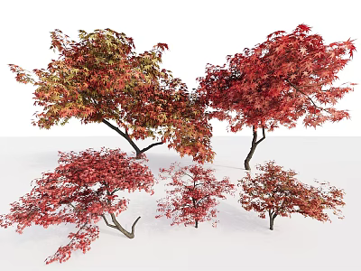 Beautiful Trees With Red And Green Leaves In Various Sizes 3d model