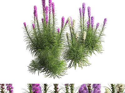 Lush Green Plant Wall With Purple Flowers For Indoor Vertical Garden Decor 3d model