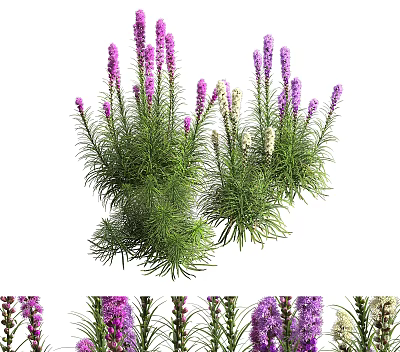 Lush Green Plant Wall With Purple Flowers For Indoor Vertical Garden Decor 3d model