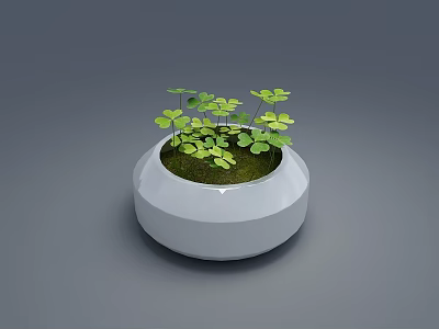 Clover potted plant 3d model