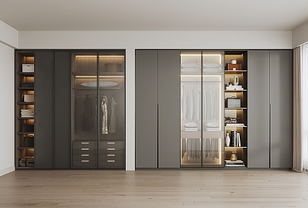 Light Luxury Simple Glass Wardrobe 3d model