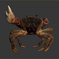 Red and Brown Crab With Large Claws Detailed Texture And Shiny Exoskeleton