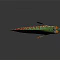 Colorful Fish With Vibrant Blue Green Red Stripes Shiny Scales On Gray Background