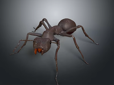 3D Rendered Brown Ant With Detailed Body Structure Legs And Antennae On Grey Background 3d model