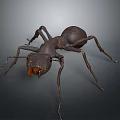 3D Rendered Brown Ant With Detailed Body Structure Legs And Antennae On Grey Background