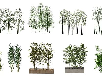 Different Types of Bamboo Plants with Various Heights and Foliage 3d model