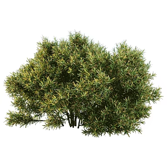 modern tree landscape tree shrub plant 3d model