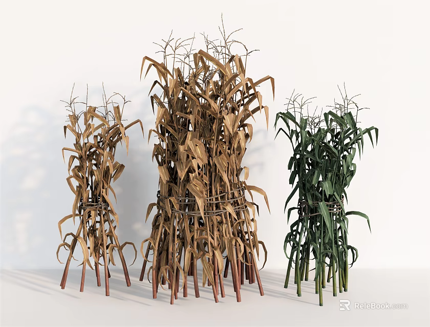 Three Bundles of Brown and Green Dried Fresh Plants Arranged on White Background 3d model 