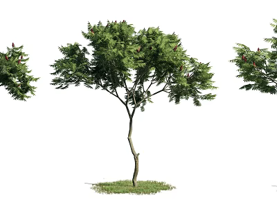 The Modern Tree 3d model