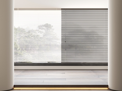 Modern blinds model