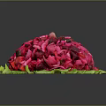 Fresh Colorful Pink Fruit Salad Served On Green Lettuce Leaves