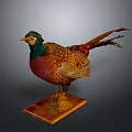 Pheasant Taxidermy With Vibrant Green Head Red Chest And Colorful Tail On Wooden Base