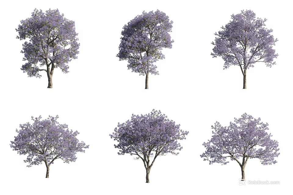 Purple Flowering Trees With Lush Canopies And Vibrant Purple Blossoms In Bloom 3d model 