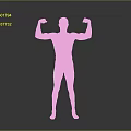 Shirtless Man Flexing Muscles In Black Underwear Against Gray Background