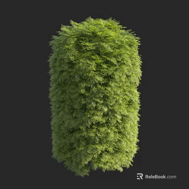Lush Green Arbor with Dense Foliage in Cylindrical Shape on Dark Background 3d model 