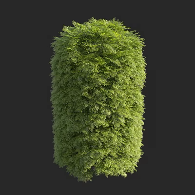 Lush Green Arbor with Dense Foliage in Cylindrical Shape on Dark Background 3d model