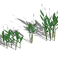 Purple Flowering Plants With Green Leaves In Three Clusters Of Different Heights