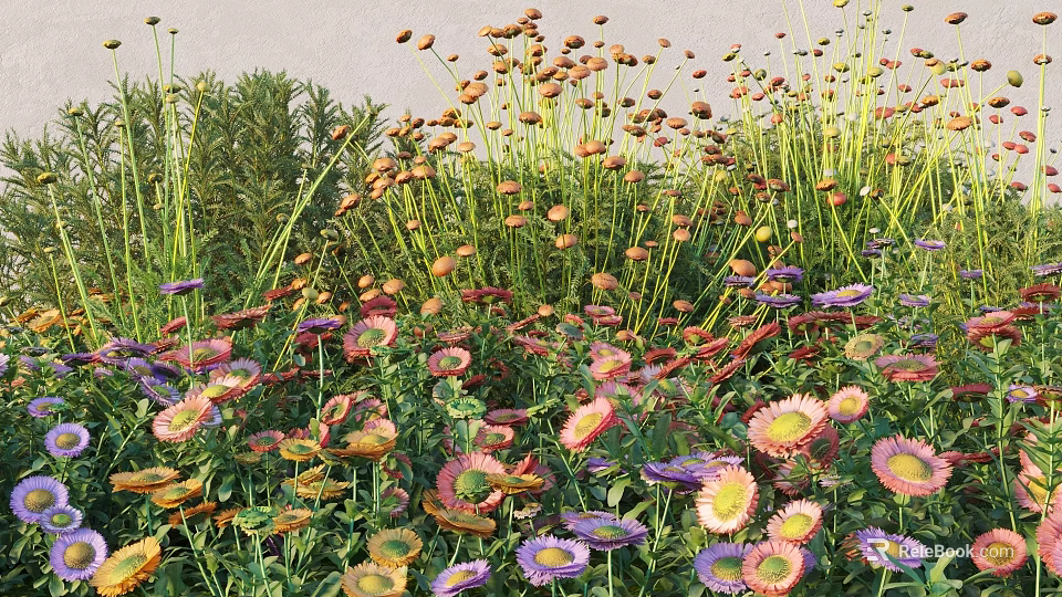 Blooming Various Colorful Flowers And Green Grass In Natural Lush Garden 3d model 