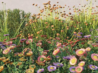 Blooming Various Colorful Flowers And Green Grass In Natural Lush Garden 3d model