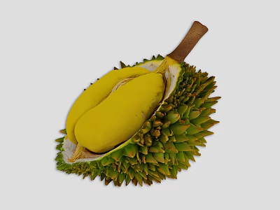Fresh Durian Fruit Cut Open Showing Yellow Flesh And Green Spiky Husk 3d model