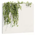 Green Vine with Lush Leaves Hanging on White Wall for Indoor Decoration