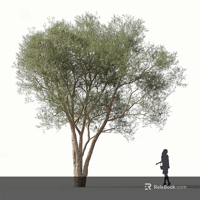 Lush Arbor With Dense Green Foliage And A Person Standing Nearby In White Background 3d model 