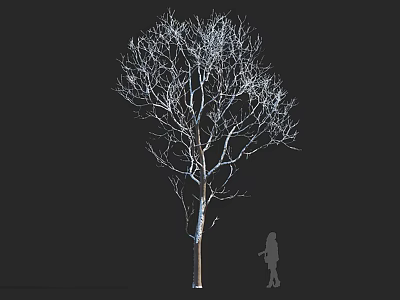 Bare Deciduous Arbor With White Branches Against Black Background And Human Silhouette 3d model