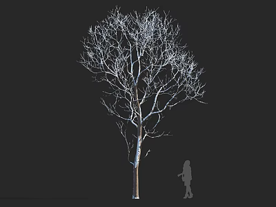 Bare Deciduous Arbor With White Branches Against Black Background And Human Silhouette 3d model