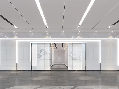 Modern Sleek Elevator Hallway Interior With Glass Doors White Walls And Linear Ceiling Lights 3d model