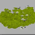 Lush Green Plants With Abundant Round Leaves And Delicate White Flowers