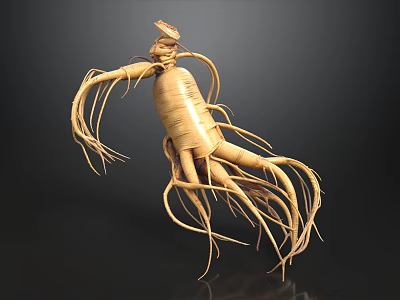 Realistic Ginseng 3D Model With Detailed Roots On Dark Background 3d model