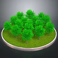 Vibrant Green Arbors Growing on Circular Platform with Lush Green Grass