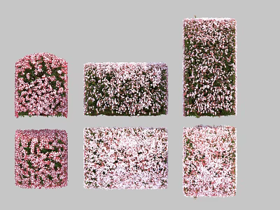Colorful Flowering Bushes In Various Shapes With Pink Blooms For Garden Decor 3d model
