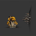 Natural Plant Display With Colorful Mushrooms And Yellow Flowers On Dark Background