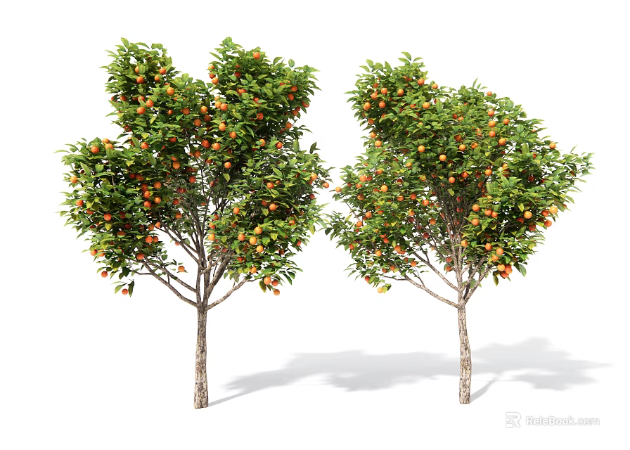 Two Fruit Trees With Green Leaves And Orange Fruits Standing Against White Background 3d model 