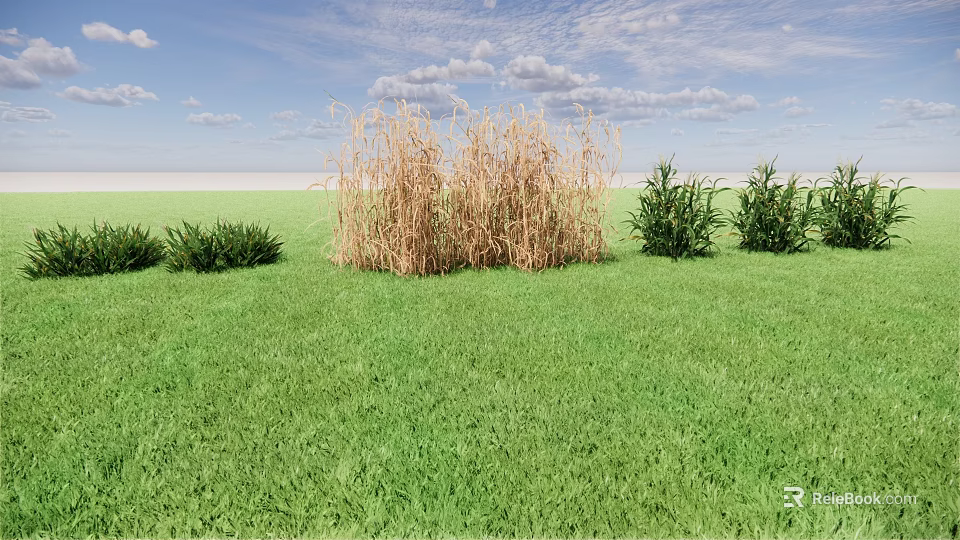 Dry Crops Standing In Green Grass Field With Shrubs Under Blue Sky 3d model 