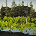 Lush Natural Landscape With Tall Pine Trees Green Yellow Foliage Mountain And Calm Water