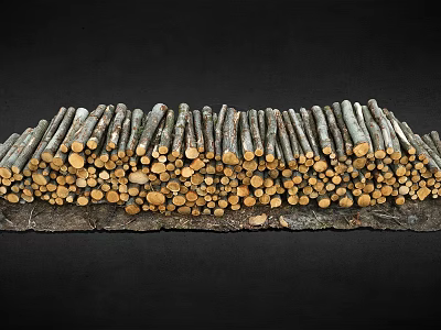 Cut Arbor Tree Trunks Neatly Stacked as Firewood in a Pile 3d model