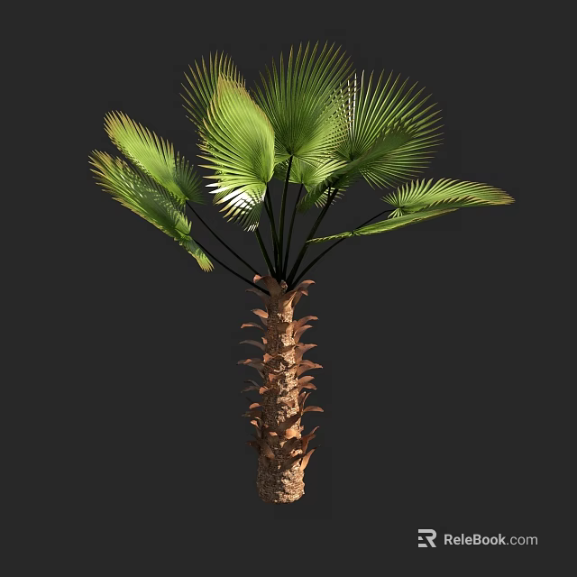 Lush Green Palm Tree with Large Fronds and Textured Trunk in Natural Environment 3d model 