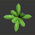 3D Banana Plant Featuring Large Green Leaves Yellow Brown Trunk And Pink Yellow Flower Bud