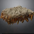 Natural Wood Stone Formation With Spike Like Structures And Brown Orange Hues