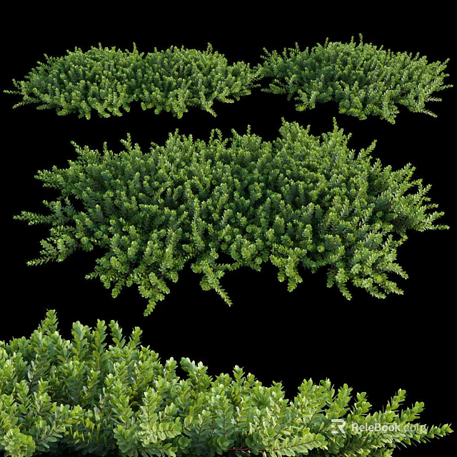 Lush Green Bushes With Various Shapes For Natural Garden Landscaping 3d model 